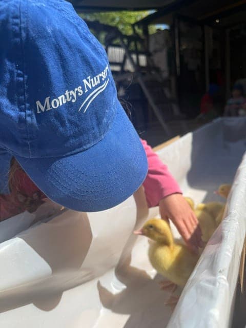 Montys Nursery And Pre School - Photo 4